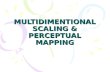 Multidimentional Scaling & Perceptual Mapping
