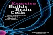 Exercise Builds Brain Cells White Paper
