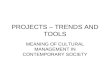 M. Sesic PROJECTS – TRENDS AND TOOLS