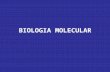 Biologia Molecular Introdução