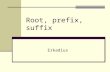 Root, Prefix, Suffix PSKG 2011