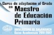 Adaptacion Grado Maestro Educacion Primaria 2011-2012 Final