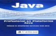 Java Modulo 8
