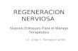 Regeneracion Nerviosa