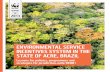 WWF, 2013 ENV INCENTIVES in Acre Brazil Sisa Report English 10 13