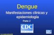Dengue diapocitivas