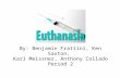 2 Euthanasia