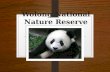 Wolong National Nature Reserve