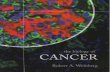 123122364 the Biology of Cancer 2007 Robert a Weinberg