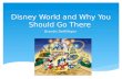 Disney Persuasive Speech