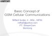 Basic Comcept of GSM