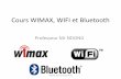 Cours Wimax Wifi Bluetooth Final Wimax