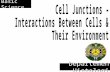 K4- Aplikasi Praktikum Cell Junction-Interactions of Cells k4 (3)