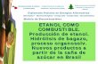 Proceso de Producción del Etanol (Modelo de Brasil)