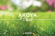 Ayoka_park_brochure_ Akoya Park by Damac