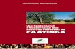 Livro - Uso Sustentável e Conservação dos Recursos Florestais da Caatinga