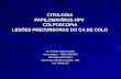 ###Citologia + HPV +COLPOSCOPIA... - Cópia