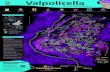 Progetto Mappa Valpolicella