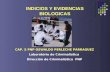 (III) Indicios y Evidencias Biologicas