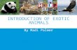 Introduction of Exotic Animals.ppt