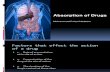 ABSORPTION OF DRUGS.ppt