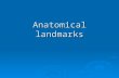 Anatomical landmarks-prosthodontics.ppt