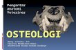 Anvet I - 02 - Osteologi