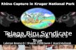 Kruger Telaga Biru Presentation