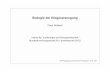 Biologie Der Biogaserzeugung
