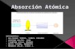 Absorcion atomica Exposicion