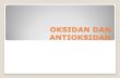 Oksidan Dan Antioksidan