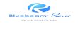 95116010 Manual BlueBeam Revu