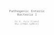 Pathogenic Enteric Bacteria i