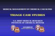 BRIEFING TRIAGE CASE STUDIES.pdf