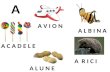 Invata literele alfabetului - Ateliere cu maniere