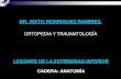 ANATOMIA DE CADERA Y FX GENERALIDADES DE FRACTURAS CADERA.pdf