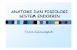 Anfis Endokrin Panjang [Compatibility Mode]