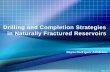 Drilling and Completion Strategies in Naturally Fractured Reservoirs