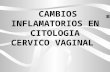 Cambios Inflamatorios en Citologia Cervico Vaginal
