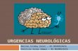 neurologia - urgencias neurológicas 2013