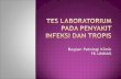 Tes Lab Penyakit Infeksi Dan Tropis (April 2011)
