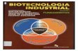 Biotecnologia Industrial (Vol. 1)