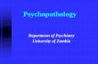 Psychopathology 6th Year Revised