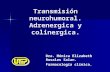 Transmision Neurohumoral Adrenergica y Colinergica