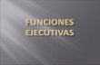 FUNCIONES EJECUTIVAS  2013