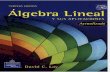 Algebra Lineal y Sus Aplicaciones - David C. Lay - 3ed