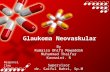 glaukoma neovaskular