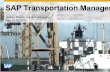 SAP Transportation management