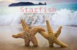 Starfish Presentation