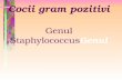 Cocii Gram Pozitivi (Genul Staphylococcus)